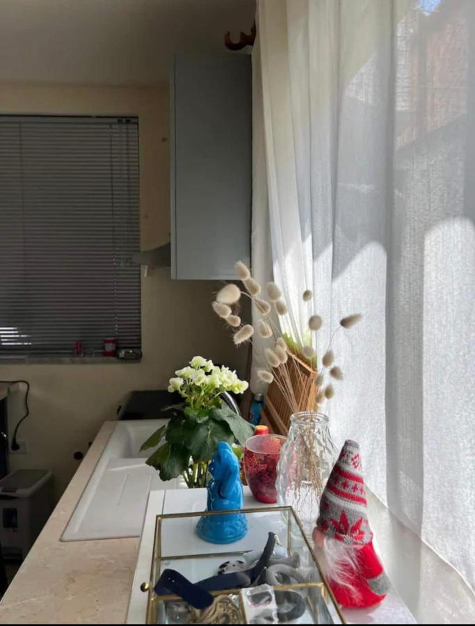 Brilant Studio Apartment City Center Tirana Kültér fotó